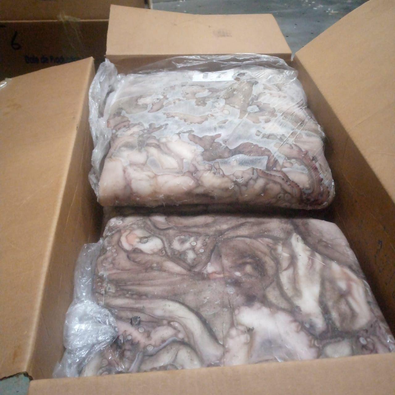 Octopus